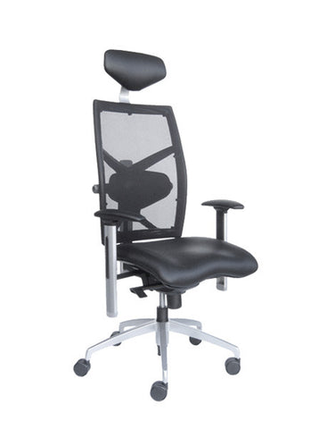 Ergonomic Chair